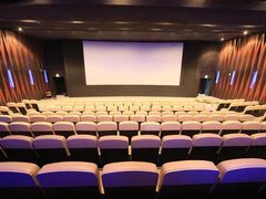 image-万达影城(锦华万达广场IMAX店)