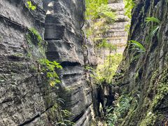 -梭布垭石林景区