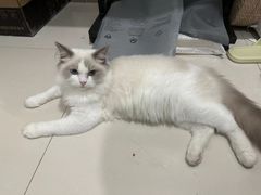 -猫遇摄影工作室