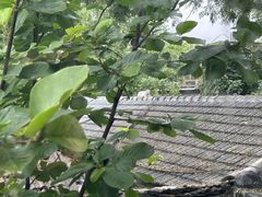 -巴巴新生活·四合院会议·疗愈团建.品牌活动