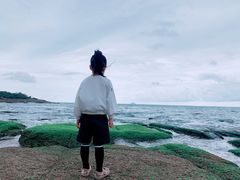 -青岛海景花园大酒店