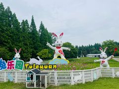 -东平国家森林公园
