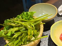 水性杨花（海花菜）-菌自由丨野生菌火锅特色庭院餐厅(丽江古城店)
