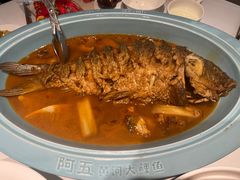 -阿五黄河大鲤鱼(英协路店)