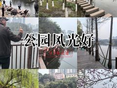 -重庆彩云湖湿地公园