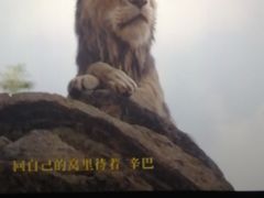 -乐天影城(威高广场店)