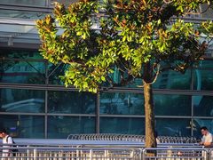 -苏州河梦清园环保主题公园