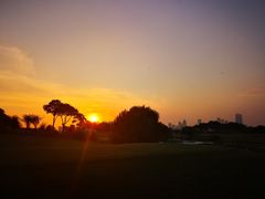 -金鸡湖高尔夫会员专属俱乐部