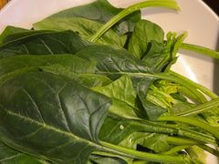 -牛必福潮汕牛肉火锅(油坊桥店)