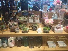 -G·SPACE(金鹰世界店)