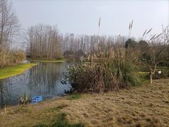 -桤木河湿地公园