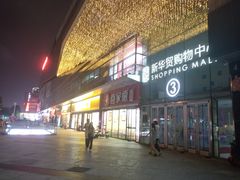 -新华贸购物中心(新华西道店)