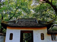 -上海佘山国家森林公园天马山园