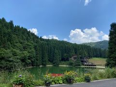 -武陵山森林公园