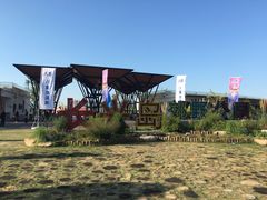 -上海长兴岛郊野公园