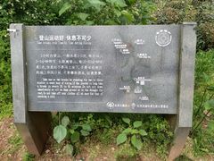 -西湖风景区十里琅珰-五云山