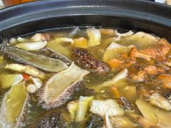 -蘑统田下·野生菌火锅