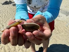 -北海金海湾红树林生态旅游区