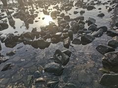 -长江澳风力发电景观区