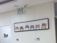 -美联众合动物医院·24h京西诊疗中心