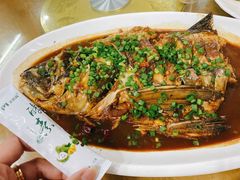 -品雅轩农家乐