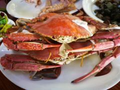 -胖大嫂渔家排档·全海景餐厅(渔村店)