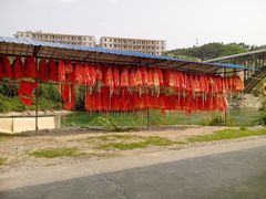 -万泉河漂流