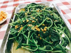 番薯叶-新湖烧鸡(光明店)