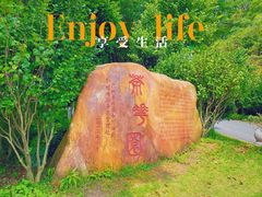 -广州市帽峰山景区