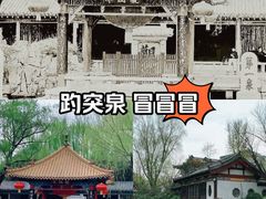 -趵突泉景区