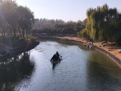 -大兴滨河森林公园