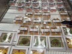 -茶颜悦色(嘉顿一楼吉时赏味游园会店)
