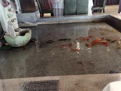-新沸腾鱼乡(世贸天阶店)