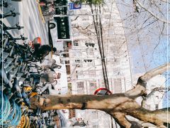 -上海交通大学医学院附属瑞金医院(总院)
