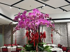 -富淳饭店(陆家嘴保利广场店)