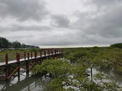 -北海金海湾红树林生态旅游区