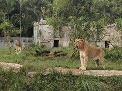 -海南热带野生动植物园