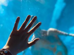 -太平洋海底世界