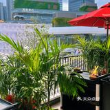魔都探店｜前滩太古里的新宠