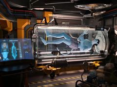 -奥兰多迪士尼动物王国乐园