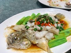 鲜花椒蒸桂花鲈-猪肉婆私房菜(容桂总店)