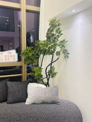 -JNK皮肤管理中心