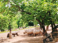-西安秦岭野生动物园