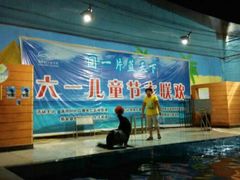 android_upload_pic-洛阳龙门海洋馆