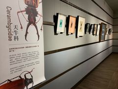 -成都百丽宫影城(LUXE太古里店)