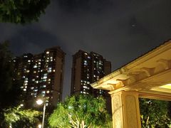 -星河湾半岛酒店-真粤中餐厅