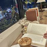 重庆i人来这里…