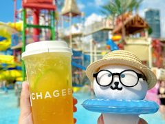 -武汉玛雅海滩水公园