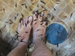 -中家鑫园温泉酒店鑫悦汤泉