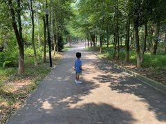 -中山市树木园